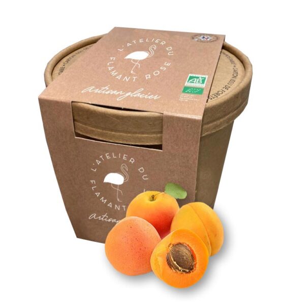 Sorbet plein fruit - Abricot Bio