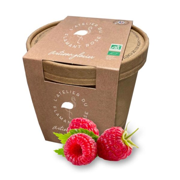 Sorbet plein fruit - Framboise Bio