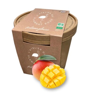 Sorbet plein fruit - Mangue Bio