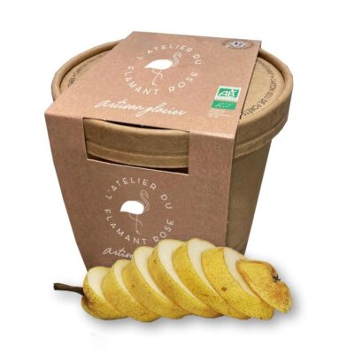 Sorbet plein fruit - Poire william Bio